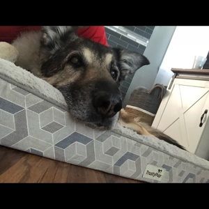 Meet your Posher, Leo